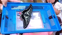 img_641_resize
